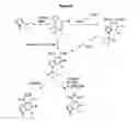 Fig. 07 - Novel multicyclic compounds and the use thereof