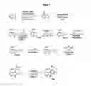 Fig. 10 - Novel multicyclic compounds and the use thereof