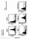 Fig. 03 - Pharmaceutical use of 1-azabicyclo[2.2.2]octanes and a method of testing compounds for the ability of activating inactive wt p53.