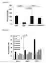 Fig. 12 - Pharmaceutical use of 1-azabicyclo[2.2.2]octanes and a method of testing compounds for the ability of activating inactive wt p53.