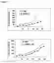 Fig. 17 - Pharmaceutical use of 1-azabicyclo[2.2.2]octanes and a method of testing compounds for the ability of activating inactive wt p53.