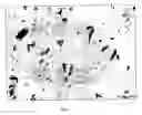 Fig. 02 - Processes of preparing highly pure telmisartan form A, suitable for pharmaceutical compositions