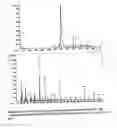 Fig. 12 - AMPO spin traps