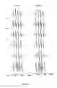 Fig. 14 - AMPO spin traps
