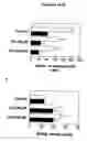 Fig. 09 - Polyhydroxy phenols and their use in binding p-selectin