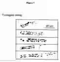 Fig. 11 - Polyhydroxy phenols and their use in binding p-selectin
