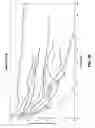 Fig. 42 - Methods and devices for non-invasive cerebral and systemic cooling