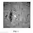 Fig. 02 - Rapidly crystallizing polycarbonate composition