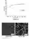 Fig. 07 - POLYURETHANEUREA SEGMENTED COPOLYMERS