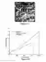 Fig. 08 - POLYURETHANEUREA SEGMENTED COPOLYMERS