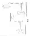 Fig. 03 - PROCESS FOR THE DETERMINATION OF PEPTIDES CORRESPONDING TO IMMUNOLOGICALLY IMPORTANT EPITOPES AND THEIR USE IN A PROCESS FOR DETERMINATION OF ANTIBODIES OR BIOTINYLATED PEPTIDES CORRESPONDING TO IMMUNOLOGICALLY IMPORTANT EPITOPES, A PROCESS FOR PREPARING THEM AND COMPOSITIONS CONTAINING THEM