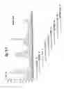 Fig. 40 - PROCESS FOR THE DETERMINATION OF PEPTIDES CORRESPONDING TO IMMUNOLOGICALLY IMPORTANT EPITOPES AND THEIR USE IN A PROCESS FOR DETERMINATION OF ANTIBODIES OR BIOTINYLATED PEPTIDES CORRESPONDING TO IMMUNOLOGICALLY IMPORTANT EPITOPES, A PROCESS FOR PREPARING THEM AND COMPOSITIONS CONTAINING THEM