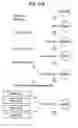 Fig. 55 - PROCESS FOR THE DETERMINATION OF PEPTIDES CORRESPONDING TO IMMUNOLOGICALLY IMPORTANT EPITOPES AND THEIR USE IN A PROCESS FOR DETERMINATION OF ANTIBODIES OR BIOTINYLATED PEPTIDES CORRESPONDING TO IMMUNOLOGICALLY IMPORTANT EPITOPES, A PROCESS FOR PREPARING THEM AND COMPOSITIONS CONTAINING THEM