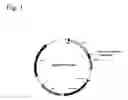 Fig. 02 - Compositions and methods for fusion protein separation