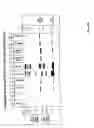 Fig. 19 - Purification and characterization of soluble human HLA proteins