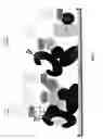 Fig. 22 - Purification and characterization of soluble human HLA proteins