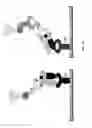 Fig. 29 - Purification and characterization of soluble human HLA proteins
