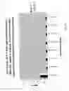 Fig. 45 - Purification and characterization of soluble human HLA proteins
