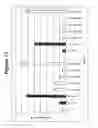 Fig. 14 - RNA interference mediated inhibition of gene expression using chemically modified short interfering nucleic acid (siNA)