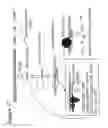 Fig. 18 - RNA interference mediated inhibition of gene expression using chemically modified short interfering nucleic acid (siNA)