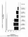 Fig. 24 - RNA interference mediated inhibition of gene expression using chemically modified short interfering nucleic acid (siNA)