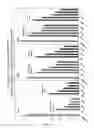 Fig. 31 - RNA interference mediated inhibition of gene expression using chemically modified short interfering nucleic acid (siNA)