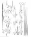 Fig. 47 - RNA interference mediated inhibition of gene expression using chemically modified short interfering nucleic acid (siNA)
