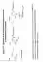 Fig. 48 - RNA interference mediated inhibition of gene expression using chemically modified short interfering nucleic acid (siNA)