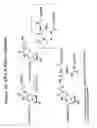Fig. 56 - RNA interference mediated inhibition of gene expression using chemically modified short interfering nucleic acid (siNA)