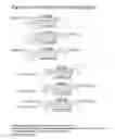 Fig. 64 - RNA interference mediated inhibition of gene expression using chemically modified short interfering nucleic acid (siNA)