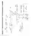 Fig. 72 - RNA interference mediated inhibition of gene expression using chemically modified short interfering nucleic acid (siNA)