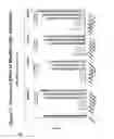 Fig. 78 - RNA interference mediated inhibition of gene expression using chemically modified short interfering nucleic acid (siNA)