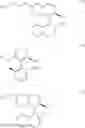 Fig. 04 - Amine-substituted biphenyldiphosphines