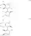 Fig. 06 - Amine-substituted biphenyldiphosphines