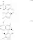 Fig. 23 - Amine-substituted biphenyldiphosphines