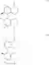 Fig. 33 - Amine-substituted biphenyldiphosphines