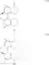 Fig. 34 - Amine-substituted biphenyldiphosphines