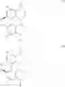 Fig. 35 - Amine-substituted biphenyldiphosphines