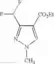 Fig. 19 - Method for the production of fluoromethyl-substituted heterocycles