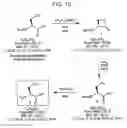 Fig. 08 - Chemoselective ligation