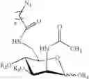 Fig. 47 - Chemoselective ligation