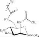 Fig. 53 - Chemoselective ligation