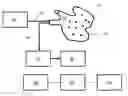 Fig. 01 - Non-invasive biochemical analysis
