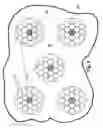 Fig. 03 - Non-invasive biochemical analysis