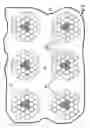 Fig. 04 - Non-invasive biochemical analysis