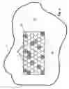 Fig. 05 - Non-invasive biochemical analysis