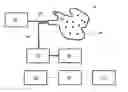 Fig. 01 - Invasive chemometry