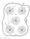 Fig. 03 - Invasive chemometry