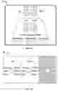 Fig. 08 - Method of using dermatomal somatosensory evoked potentials in real-time for surgical and clinical management
