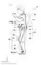 Fig. 01 - Apparatus for assisting limb and computer program
